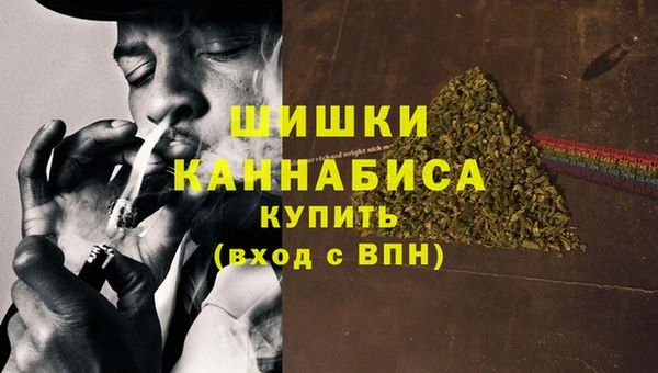 дживик Осинники