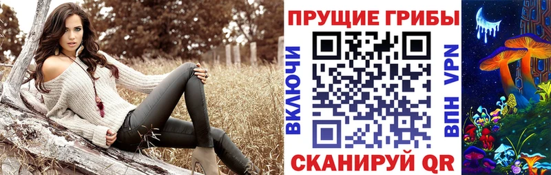 hydra онион  Находка  Галлюциногенные грибы GOLDEN TEACHER 